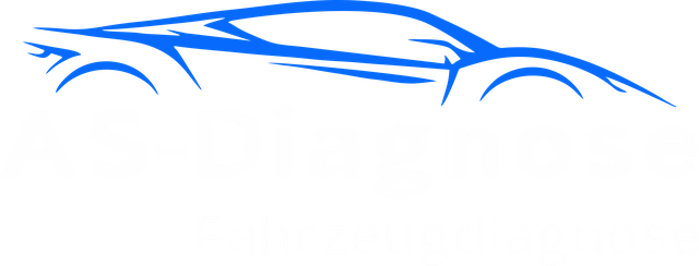 AS-Diagnose Fahrzeugdiagnose